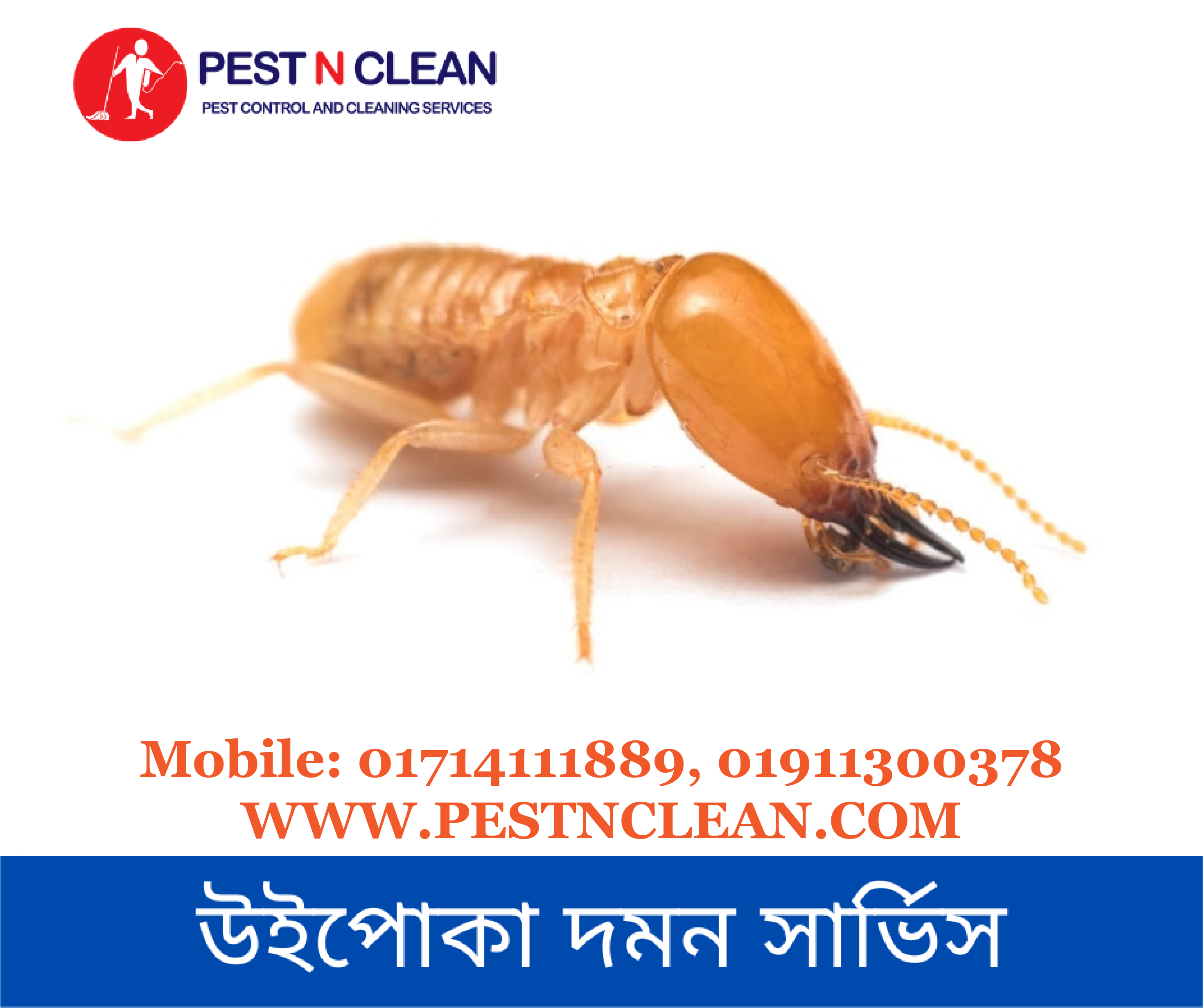 উইপোকা দমন সার্ভিস-Termite Control Service