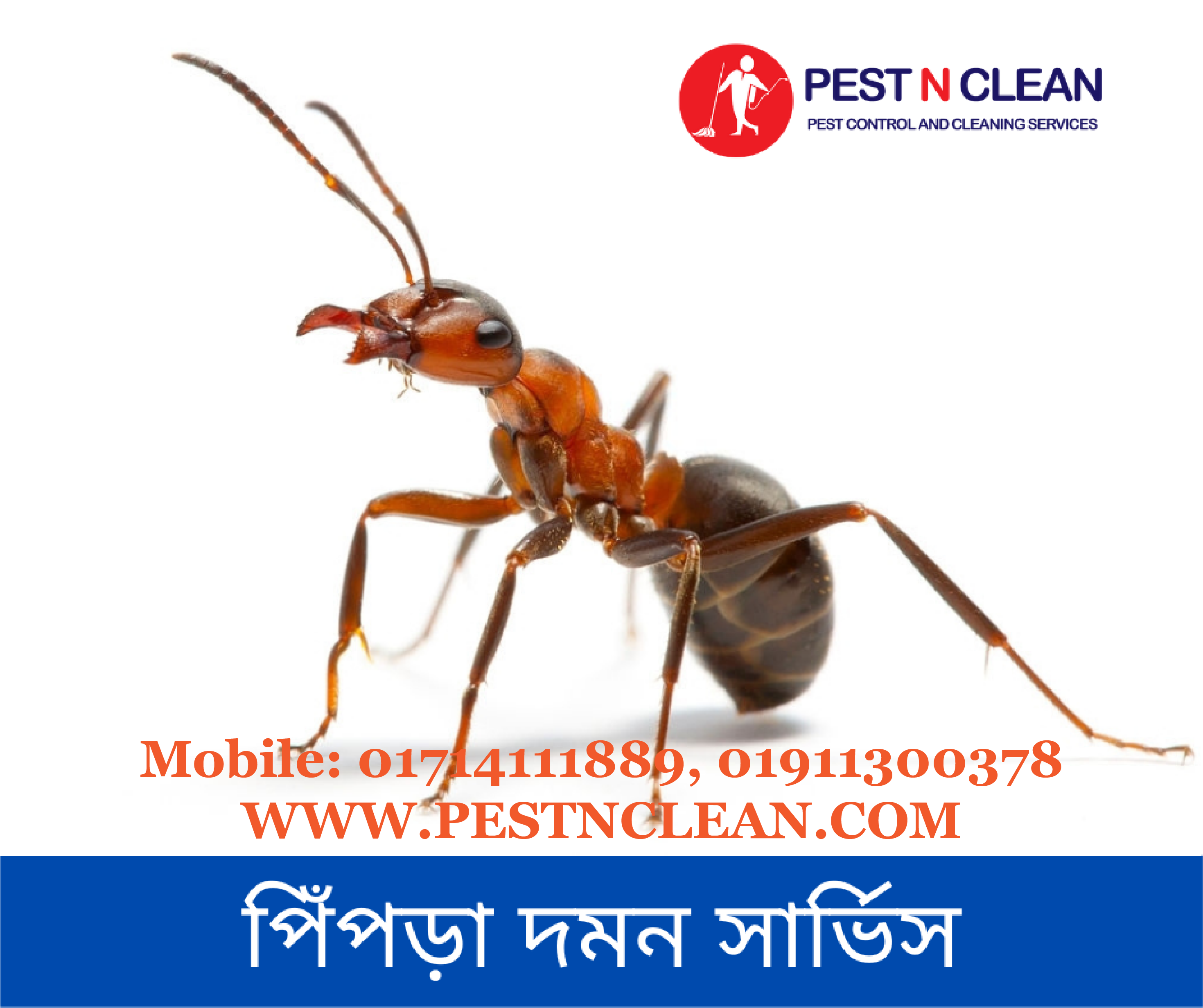 পিঁপড়া দমন সার্ভিস-Ant Control Service