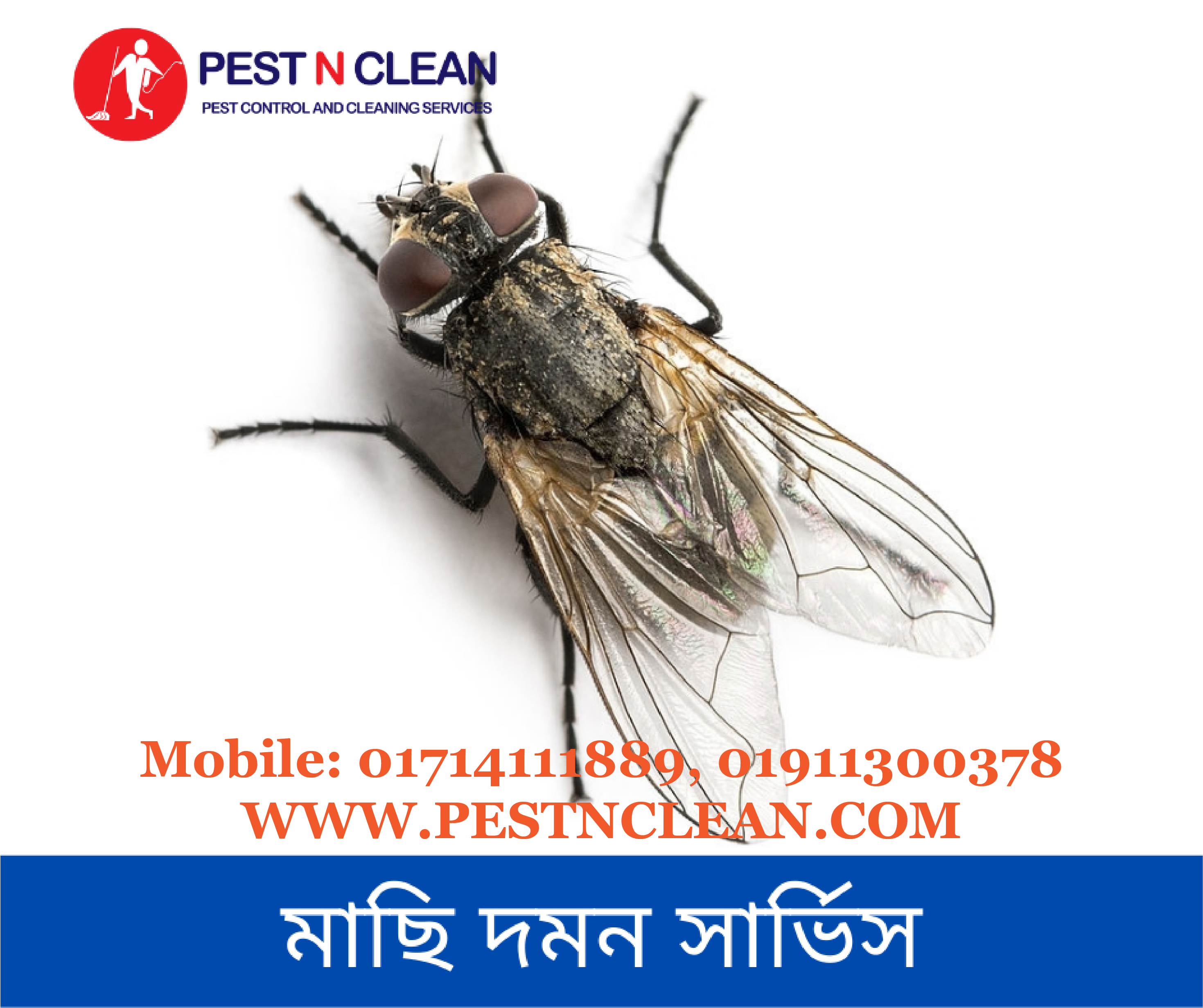 মাছি দমন সার্ভিস-Flies Control Service