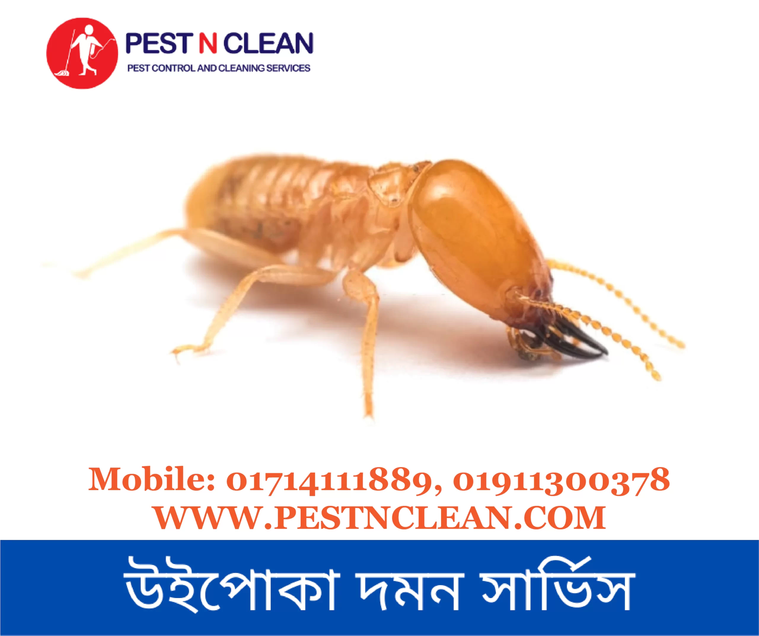 উইপোকা দমন সার্ভিস-Termite Control Service