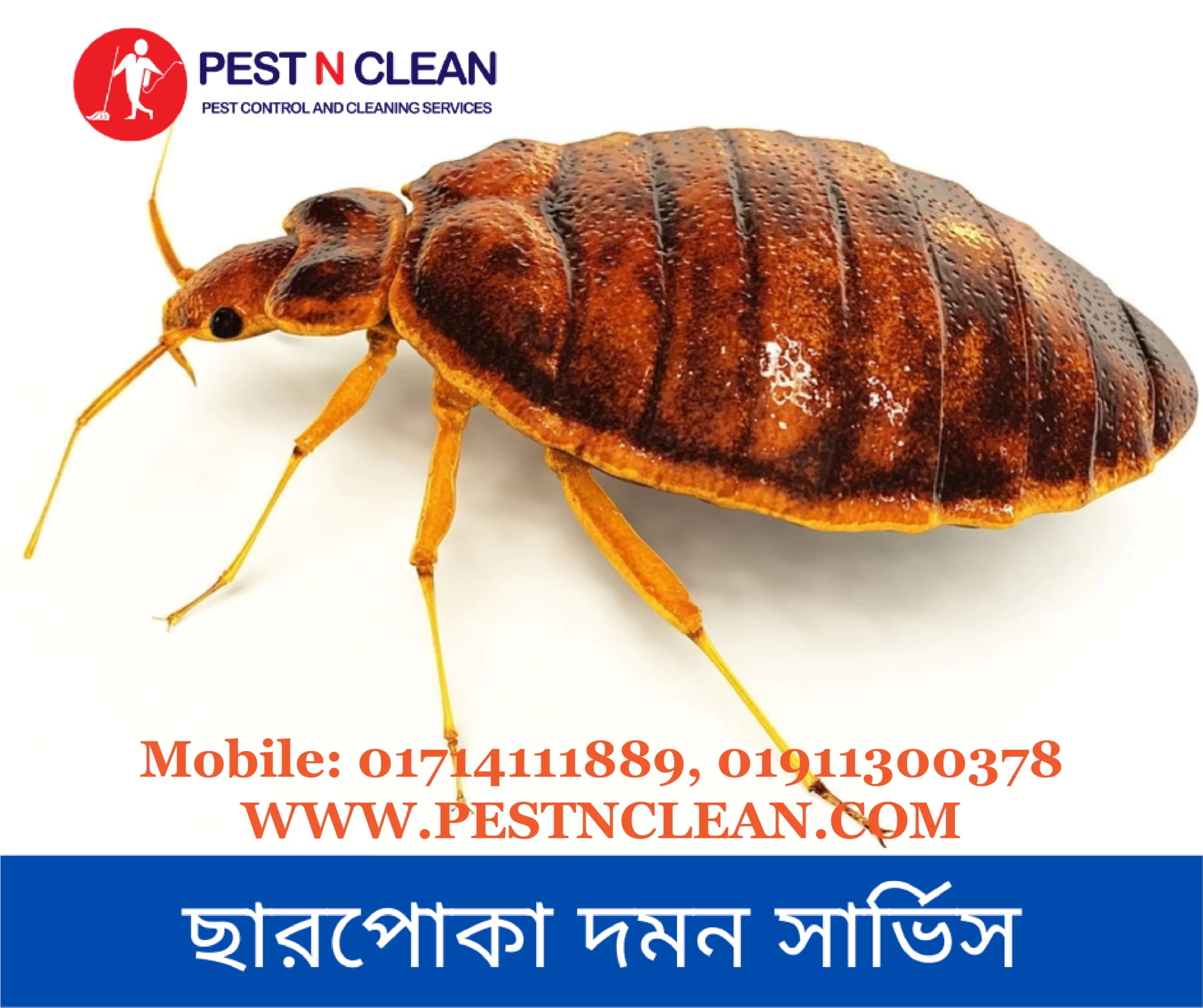 ছারপোকা দমন সার্ভিস-Bed Bugs Control Service