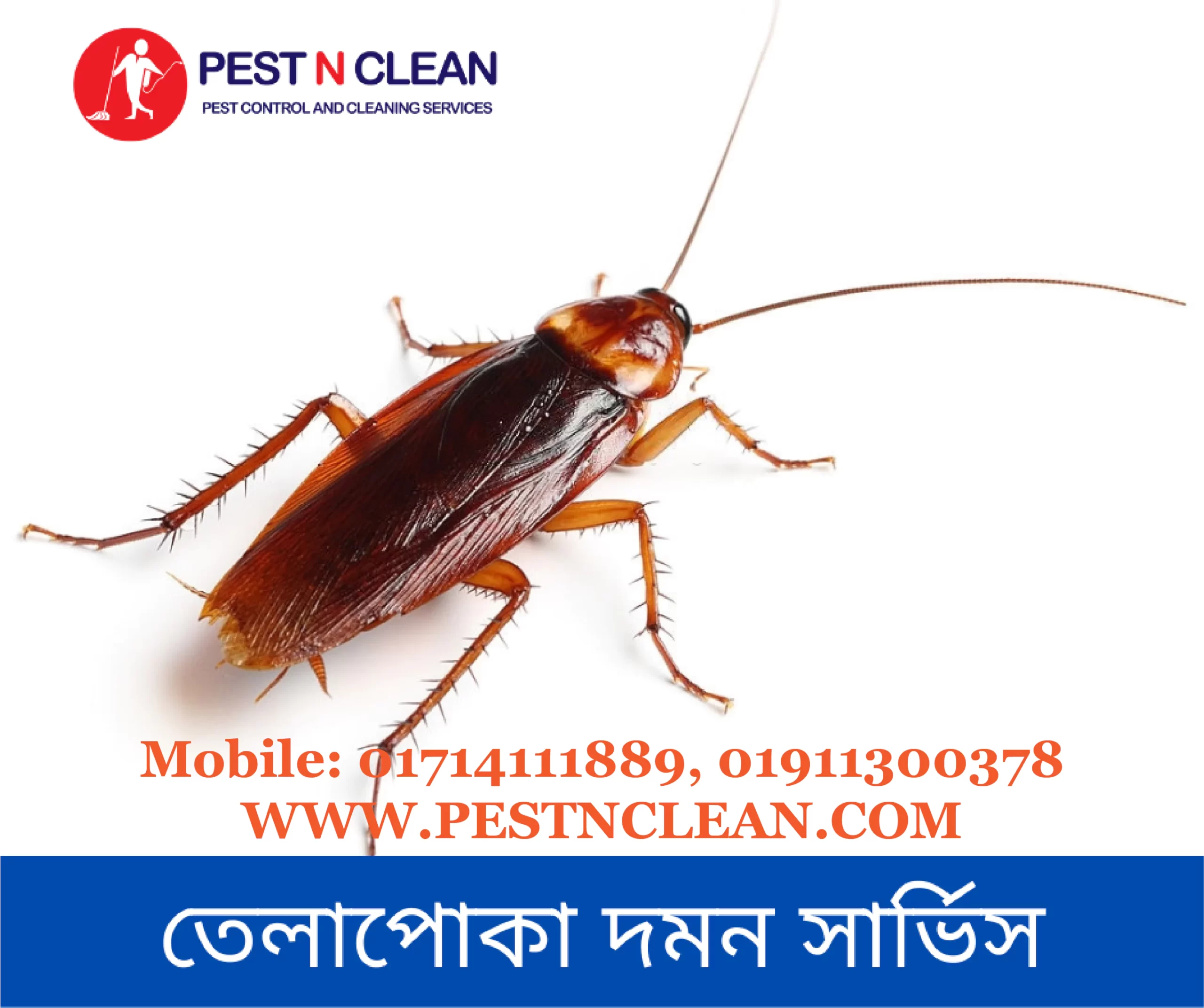 তেলাপোকা দমন সার্ভিস- Cockroach Control Service