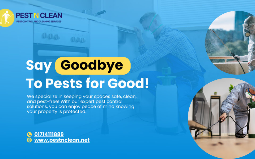 Say Goodbye to Pests in Tejgaon: How PestnClean.net Will Save Your Home or Business!